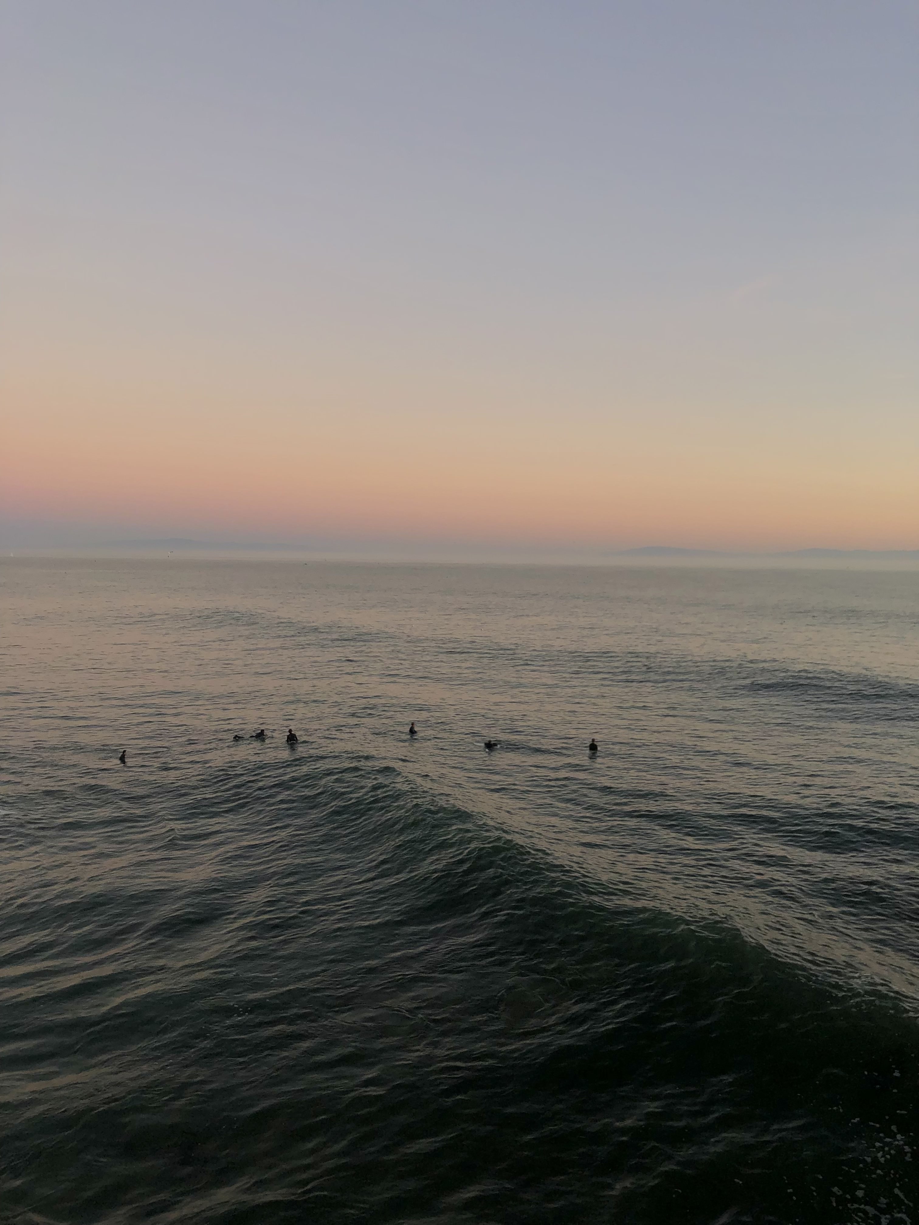 Life photo 6
